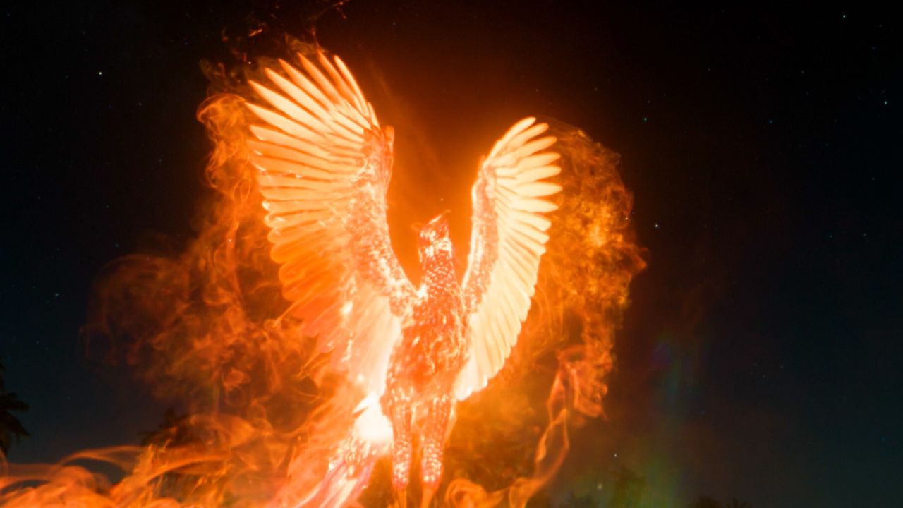 男人救了被困的火凤凰,从此走向开挂人生 #奇幻 #电影推荐