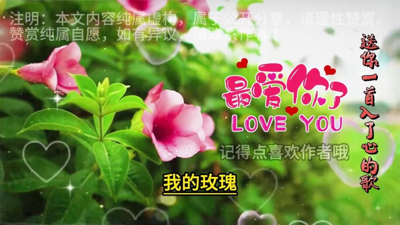 【缘分的天空】今生有缘遇见姐 是弟弟最大的福气