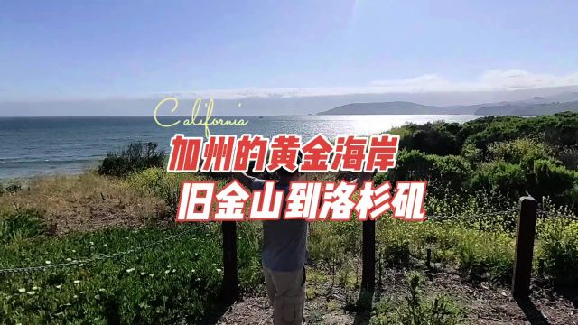 加州的黄金海岸,从旧金山到洛杉矶走101,一路沙滩和海景 旅游