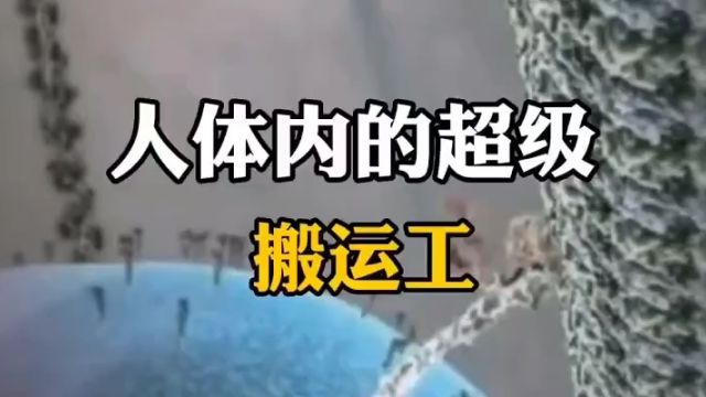 人体的超级搬运工……驱动蛋白你了解吗?