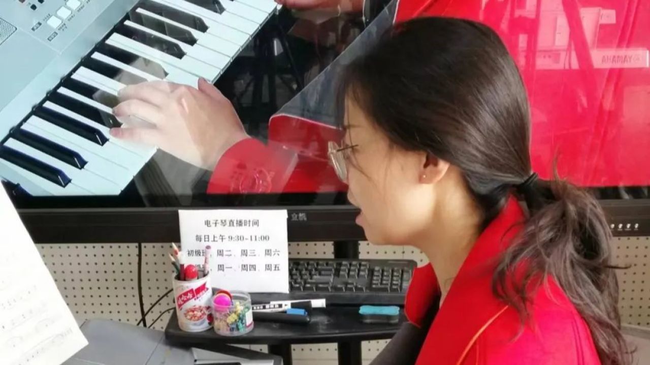 王盼电子琴《在那桃花盛开的地方》2