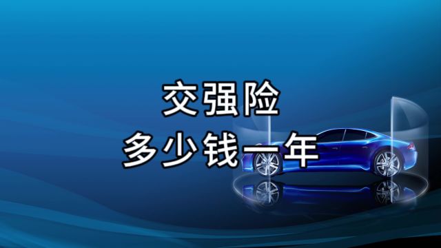 交强险多少钱一年|交强险查询