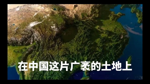 洞悉汽车市场现象