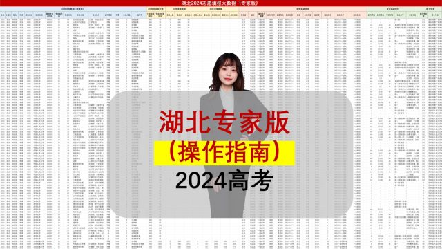 湖北规划师的大数据:24年高考出方案,70多列信息,10分钟出方案!