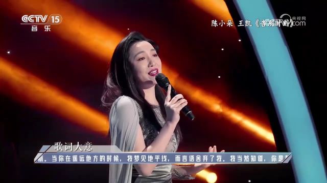 陈小朵王凯演唱的《告别时刻》,动人旋律,歌声优美动听