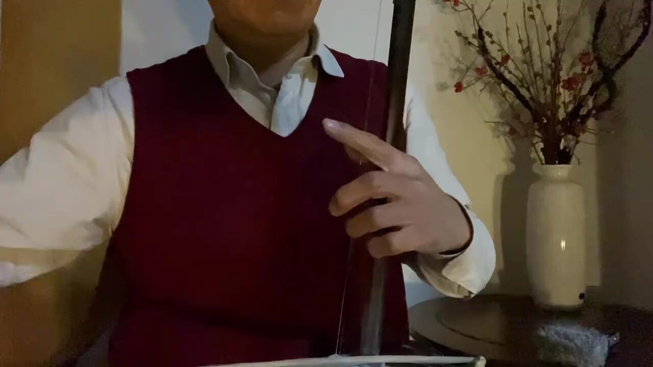 张令杰教授试音"利泉"琴 cg定弦 52弦演奏《病中吟》