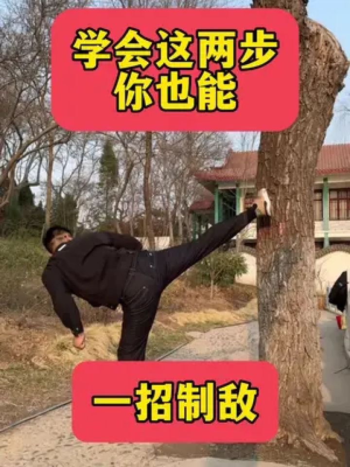这招也叫大龙摆尾#后摆腿 #回旋踢 #腿法 #一招制敌 #防身术