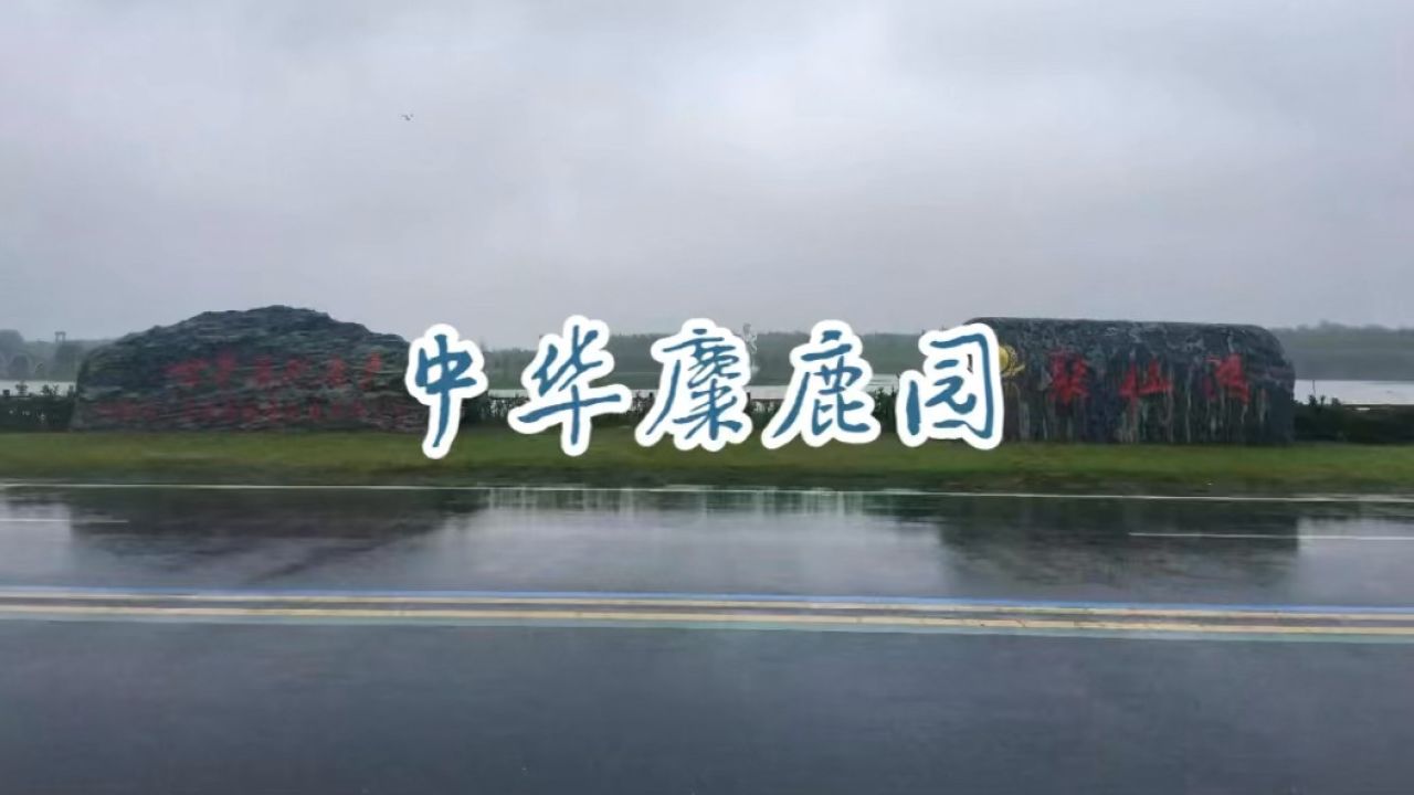 旅游纪实:美丽中国江苏行——中华麋鹿园(盐城大丰)"世界占地面积最大