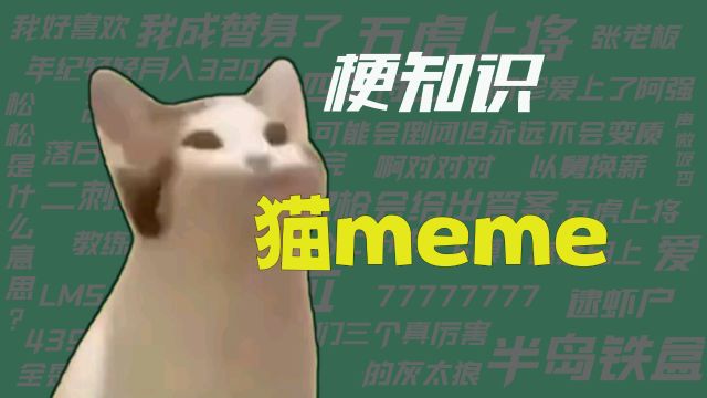 梗:猫meme