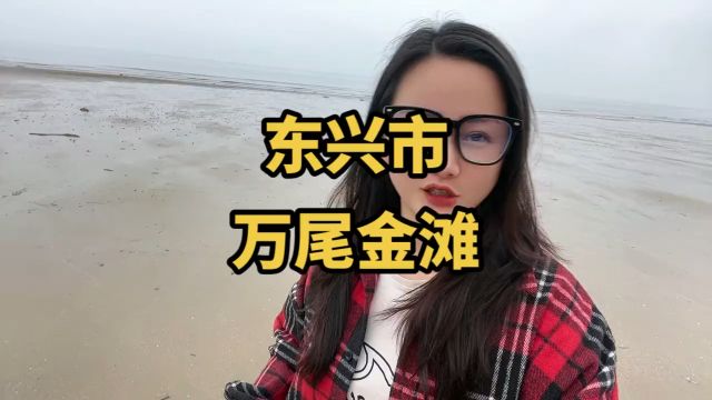 自驾广西东兴的万尾金滩免费露营地