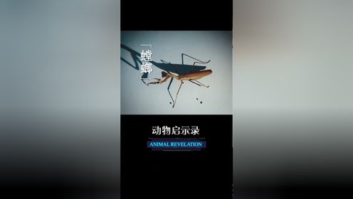 02严厉的外表下有一颗爱你的心02