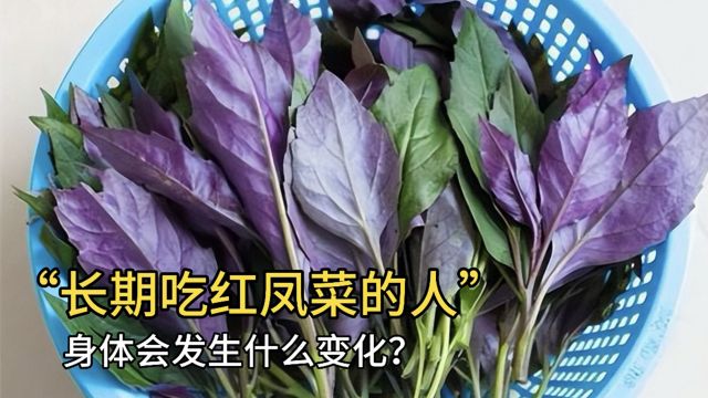 长期吃红凤菜的人,身体会发生什么变化?医生终于道出真相!