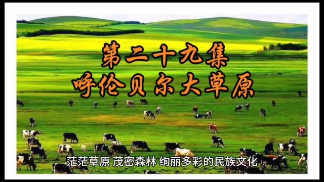 多彩中国《第二十九集 呼伦贝尔大草原》