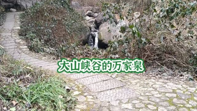 大山峡谷的万家泉