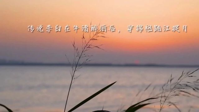 以唐诗观照唐史,《去唐朝》带您体味唐朝三百年