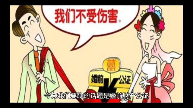 婚前财产法理?