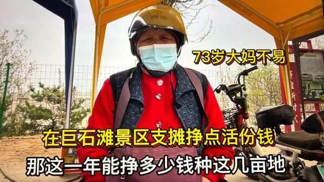 河北农民73岁大妈家有4亩地1年能挣多少钱?在北京景区支摊挣点