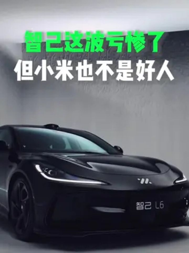 智己这波low爆了!但小米也没好到哪去! #智己汽车向小米汽车致歉