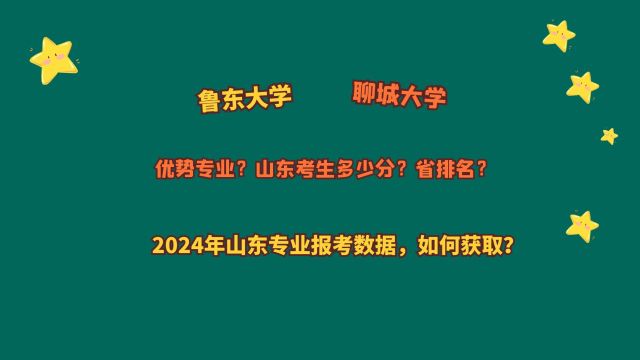 鲁东大学、聊城大学,山东考生需要多少分?2024山东专业报考数据