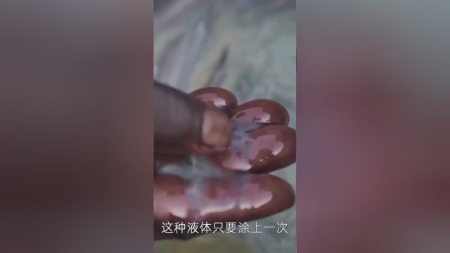 近1亿女神的最爱,乳木果油如何风靡非洲?#乳木果油 1