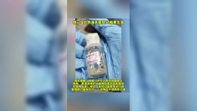 惊心!北京海关查获57瓶寄生虫