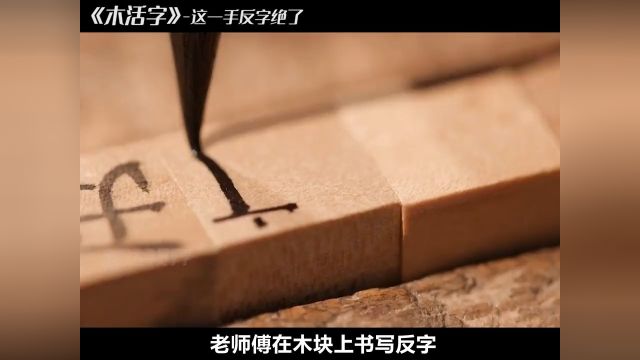 你家还有这样的一本族谱么?非遗传承木活字族谱纪录片充电计划谱师宗族