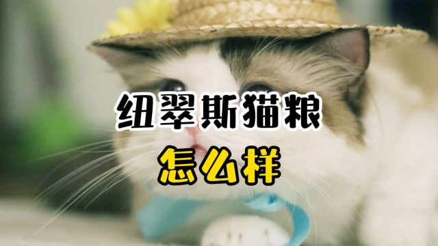 纽翠斯猫粮怎么样?