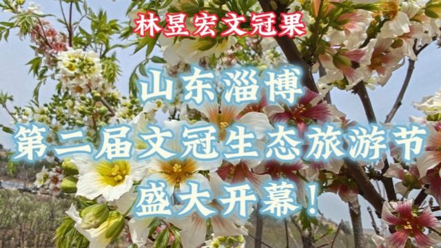 热烈庆祝!2024山东淄博ⷧ쬤𚌥𑊦–‡冠生态旅游节圆满开幕!