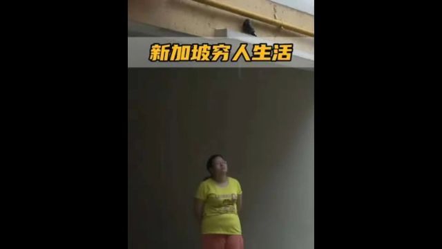 新加坡穷人的苦逼生活,月入六千住在十平米公屋,丈夫还家暴