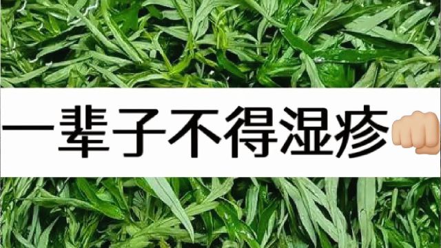 湿疹自救攻略:从痛苦到痊愈的旅程!