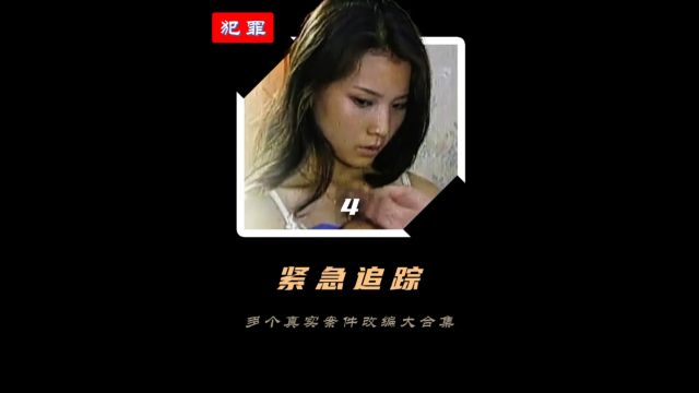 第4集:河南南阳著名公路悍匪王小军!