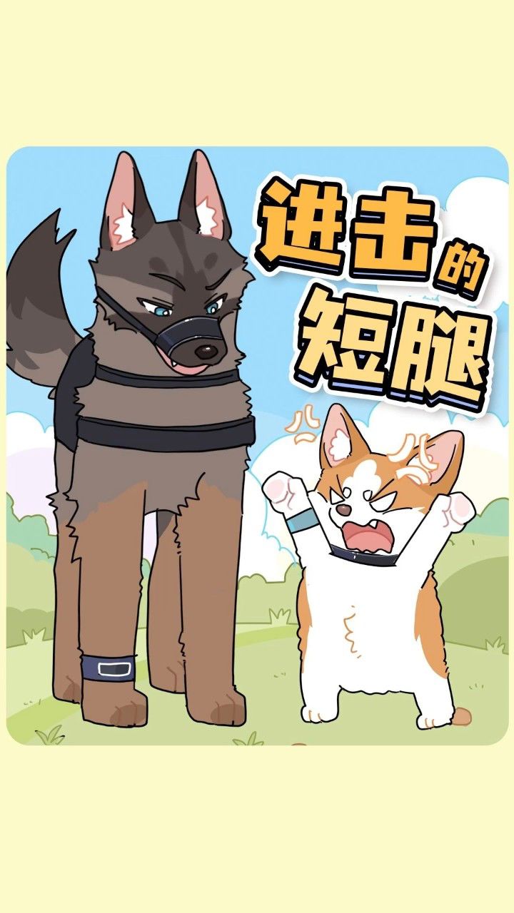福仔:再说我腿短,我会跳起来打你膝盖!