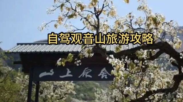 自驾观音山攻略,赏梨花美景,临沂小川西