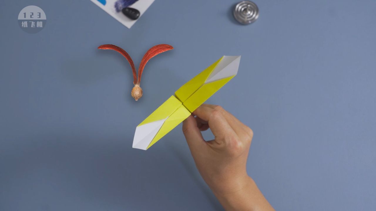 好玩!不可思议的折纸仿生螺旋桨:龙脑香种子