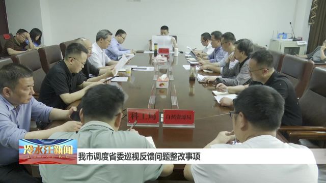 我市调度省委巡视反馈问题整改事项