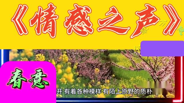 《情感之声》春意