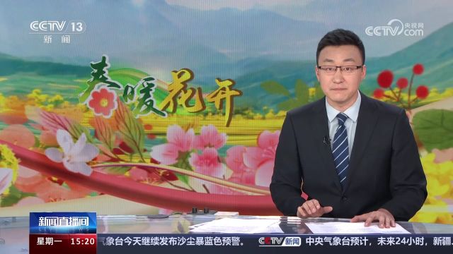 春暖花开 山西太原 樱花桃花春风中舒展 游客漫步赏春