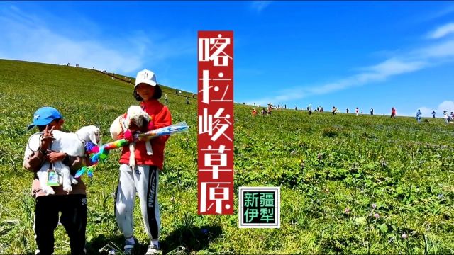 新疆伊犁特克斯喀拉峻大草原游记