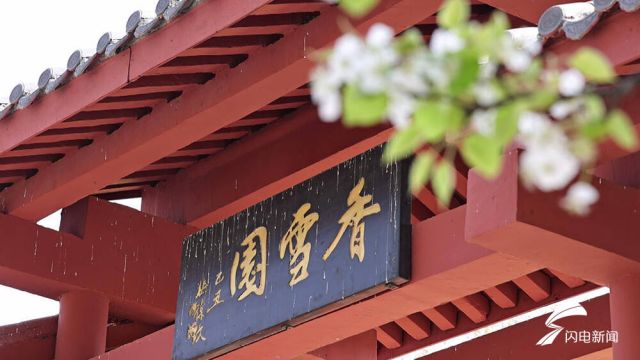 赏花、挖野菜、品尝梨花饺子……夏津黄河故道梨花满园花香四溢