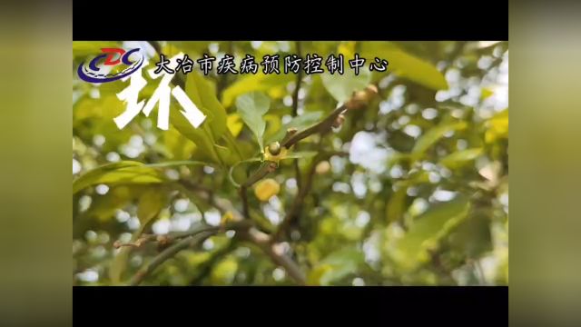 大冶市疾病预防控制中心环境整治行动