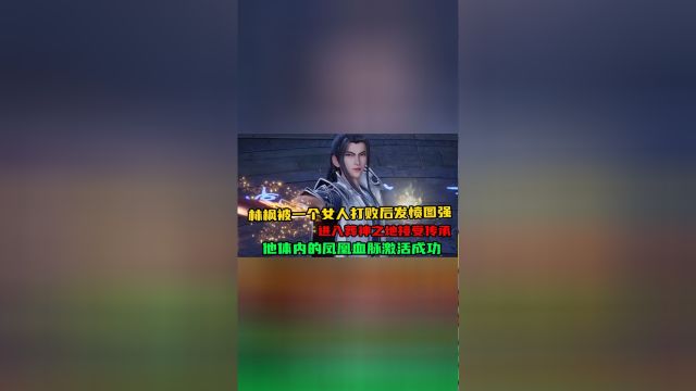 万界独尊:林枫被一个女人打败后发愤图强,进入葬神之地接受传承,他体内的凤凰血脉激活成功