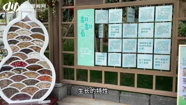 【打卡“花式”世园馆】清华大学团队出品!一起感受这座能“疗愈”的园林