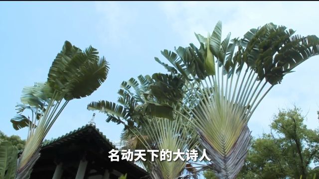 苏东坡北宋顶流的躺平之路 Ep5 南渡北归 062