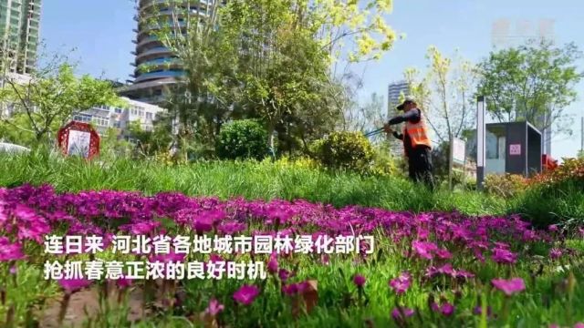 河北:今年计划建设157个“口袋公园”