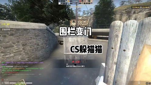 csgo躲猫猫:万物皆可门#csgo躲猫猫 #躲猫猫 #csgo