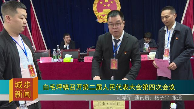 白毛坪镇召开第二届人民代表大会第四次会议