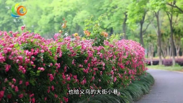 消费券、景区门票、百余场活动……浙江送出一大波“五一”福利