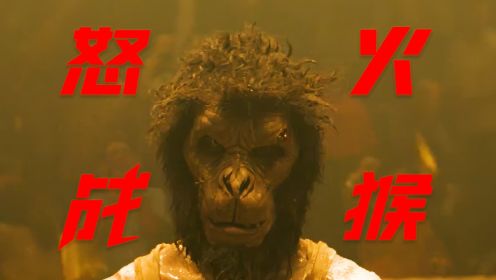 2024超燃动作爽片《怒火战猴》印度版疾速追杀