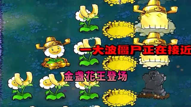 【植物大战僵尸】百分之五的金盏花登场!