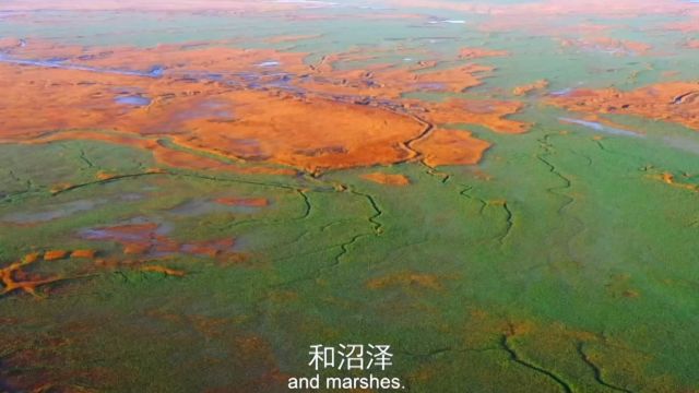 中国湿地:盘锦辽河口湿地